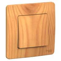 Одноклавишный выключатель скрытой установки 10А 250В Systeme Electric Blanca BLNVS010105, Ясень