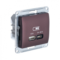 USB Розетка A + тип-C 45W Systeme Electric Glossa высокоскоростная зарядка QC,PD, механизм, БАКЛАЖАНОВЫЙ