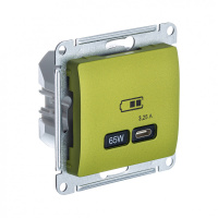 USB Розетка тип-C 65W Systeme Electric Glossa высокоскоростная зарядка QC, PD, механизм, ФИСТАШКОВЫЙ