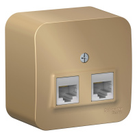 Розетка двойная компьютерная RJ45 с изолирующей пластиной Systeme Electric Blanca BLNIA045454, Титан