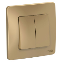 Двухклавишный выключатель (cх.5) скрытой установки 10А 250В Systeme Electric Blanca BLNVS010504, Титан