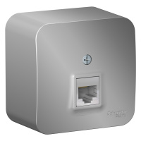 Розетка компьютерная RJ45 с изолирующей пластиной Systeme Electric Blanca BLNIA045003, Алюминий