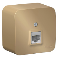 Розетка компьютерная RJ45 с изолирующей пластиной Systeme Electric Blanca BLNIA045004, Титан