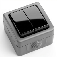 Двухклавишный выключатель, накладного монтажа IP54 Jasmart JM016
