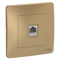 Розетка скрытой установки компьютерная RJ45 Systeme Electric Blanca BLNIS045004, Титан