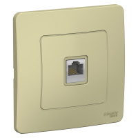 Розетка скрытой установки компьютерная RJ45 Systeme Electric Blanca BLNIS045007, Бежевый