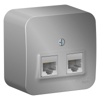 Розетка двойная компьютерная RJ45 с изолирующей пластиной Systeme Electric Blanca., BLNIA045453, Алюминий