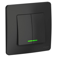 Двухклавишный выключатель скрытой установки с подсветкой 10А 250В Systeme Electric Blanca BLNVS010516, Антрацит