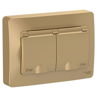 Розетка скрытой установки IP44 двойная с заземляющим контактом и шторками 16A 250В Systeme Electric Blanca BLNRS441124, Титан