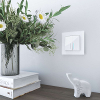 W0011105 Werkel Werkel рамки Favorit (стекло)