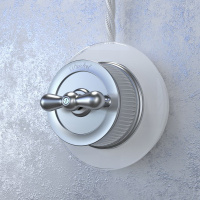 W5720022 Werkel Werkel Retro цвет матовый хром