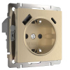 Розетка с заземлением, шторками и USB тип A+C шампань рифленый Werkel  W1171710