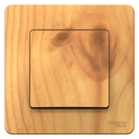 BLNVS010605 Systeme Electric Schneider Blanca цвет ясень