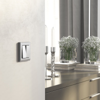 W1120165 Werkel Werkel механизмы серебряные матовый