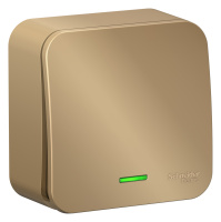 BLNVA106114 Systeme Electric Schneider Blanca накладной монтаж цвет титан