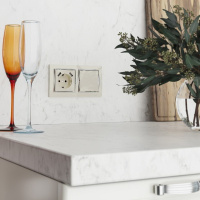 W1113001 + W1119011 Werkel Werkel механизмы шампань