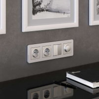 W0042606 Werkel Werkel рамки Platinum