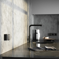 W5010235 Werkel Werkel Gallant цвет черный с серебром