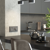 W1120164 Werkel Werkel механизмы графит матовый