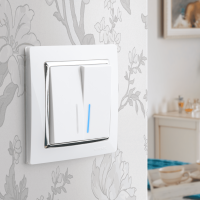 W0011901 Werkel Werkel рамки Snabb