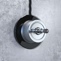 WL19-01-05 Werkel Werkel Retro цвет матовый хром