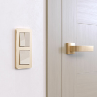 W0022611 Werkel Werkel рамки Platinum