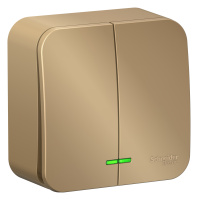 BLNVA105114 Systeme Electric Schneider Blanca накладной монтаж цвет титан