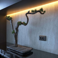 W0082104 Werkel Werkel рамки Stream