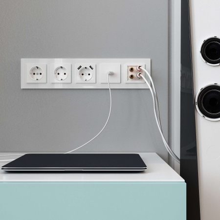 WL01-60-11 Werkel Werkel механизмы белые