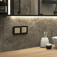 W0022608 Werkel Werkel рамки Platinum