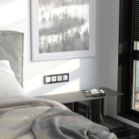 W0042448 Werkel Werkel рамки Elite