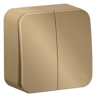 BLNVA105014 Systeme Electric Schneider Blanca накладной монтаж цвет титан