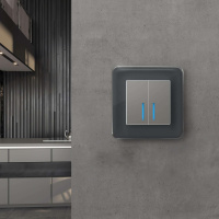 W0012440 Werkel Werkel рамки Elite