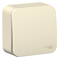 BLNVA101012 Systeme Electric Schneider Blanca накладной монтаж цвет молочный