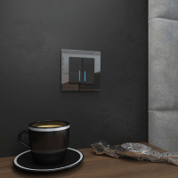 W0011108 Werkel Werkel рамки Favorit (стекло)