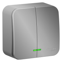BLNVA105113 Systeme Electric Schneider Blanca накладной монтаж цвет алюминий
