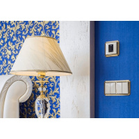 MTN483221 Schneider Electric Merten Antique рамки