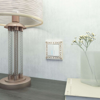 W0011523 Werkel Werkel рамки Antik