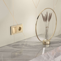 W1122011 Werkel Werkel механизмы шампань