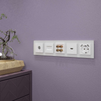 W0051105 Werkel Werkel рамки Favorit (стекло)