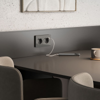 W1171744 Werkel Werkel механизмы акрил графит