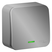 BLNVA106113 Systeme Electric Schneider Blanca накладной монтаж цвет алюминий