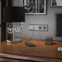 W1130006 Werkel Werkel механизмы серебряные