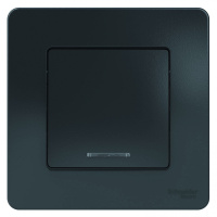 BLNVS010116 Systeme Electric Schneider Blanca цвет антрацит