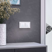 W0021105 Werkel Werkel рамки Favorit (стекло)