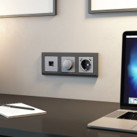 W1171765 Werkel Werkel механизмы серебряные матовый