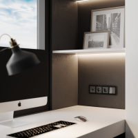 W1181044 Werkel Werkel механизмы акрил графит