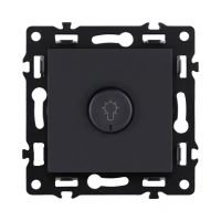 Светорегулятор для светодиодных ламп 200W, черный бархат Brionilux серия G (GP023BK)