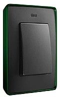 Рамка 1-пост Графит-Зеленый Simon 82 Detail Select 8201610-250
