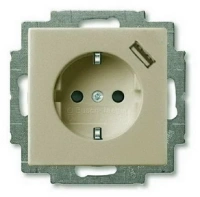 Розетка 220v с usb 1 портом шампань ABB Basic 55 2CKA002011A6194